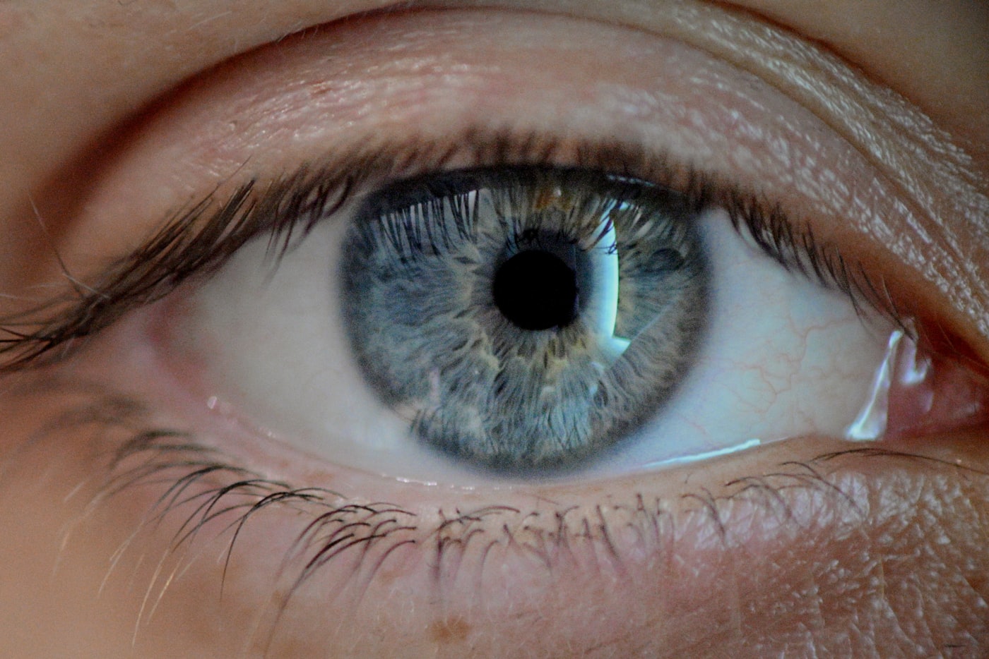 Close-up of a human iris showing detailed fiber structure